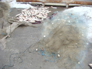 Peşte şi plasă monofilament, confiscate de poliţişti